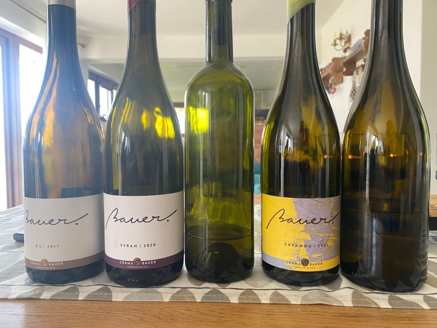 Fantastic Wine Tour in Diferent Wineries (Great Hill) - Tour Highlights