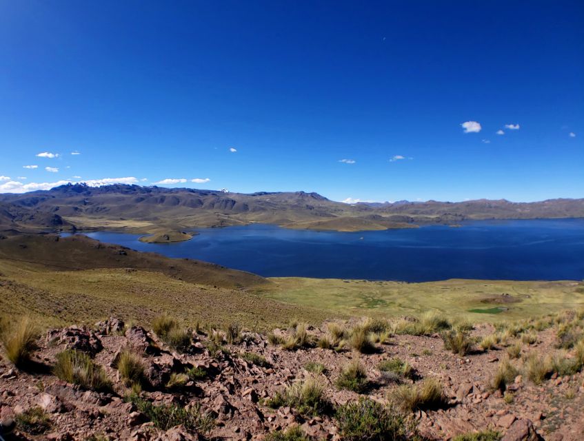 From Arequipa: Colca Canyon Day Tour to Puno - Customer Reviews