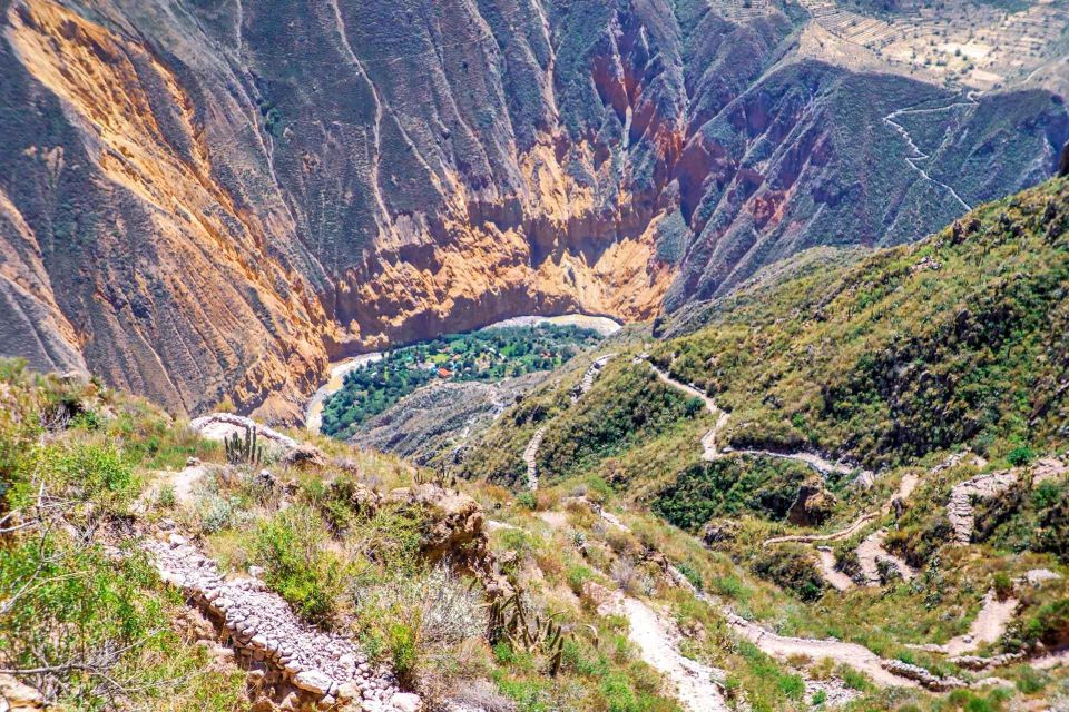 From Arequipa: Excursion to the Colca Canyon 2 Days - Highlights