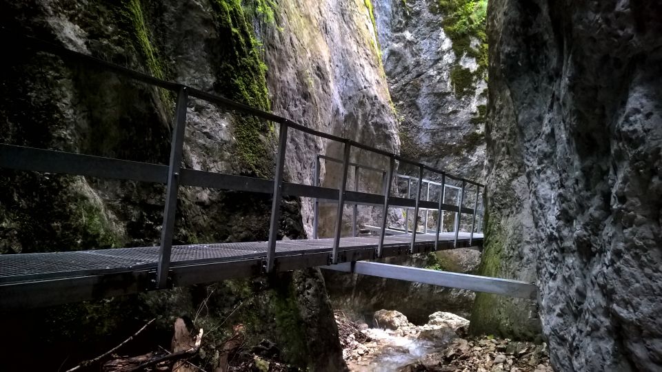 From Brasov: Day Trip to the Seven Ladders Canyon - Accessibility