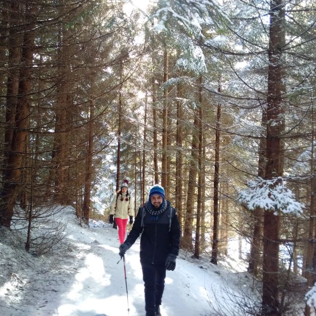 From Brasov: Piatra Craiului National Park Private Day Tour - Experience Highlights