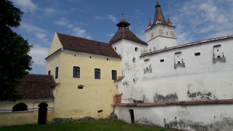 From Brasov: Prejmer, Harman, Bran, and Rasnov Day Tour - Reviews and Testimonials