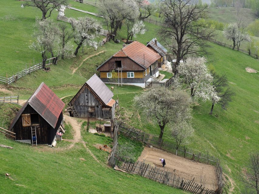 From Brasov: Romanian Mountain Villages Day Tour - Good To Know