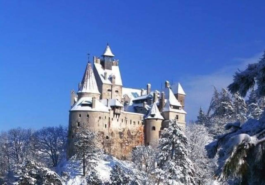 From Bucharest: 2-Day Tour to Brasov and Sighisoara - Tour Experience