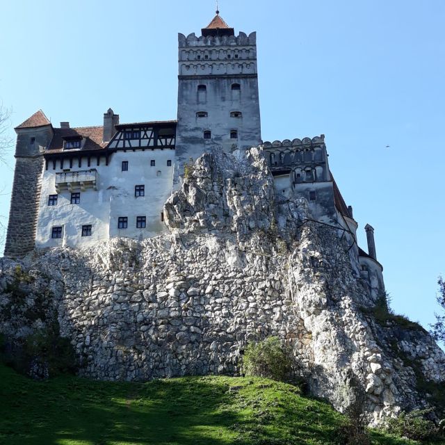 From Bucharest: Dracula's Castle & Bear Sanctuary Day Tour - Tour Duration and Highlights