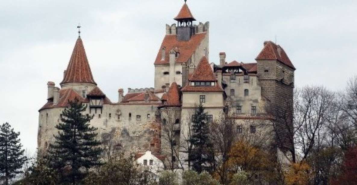 From Bucharest: Private Dracula and Peles Castles Day Tour - Castle Experiences