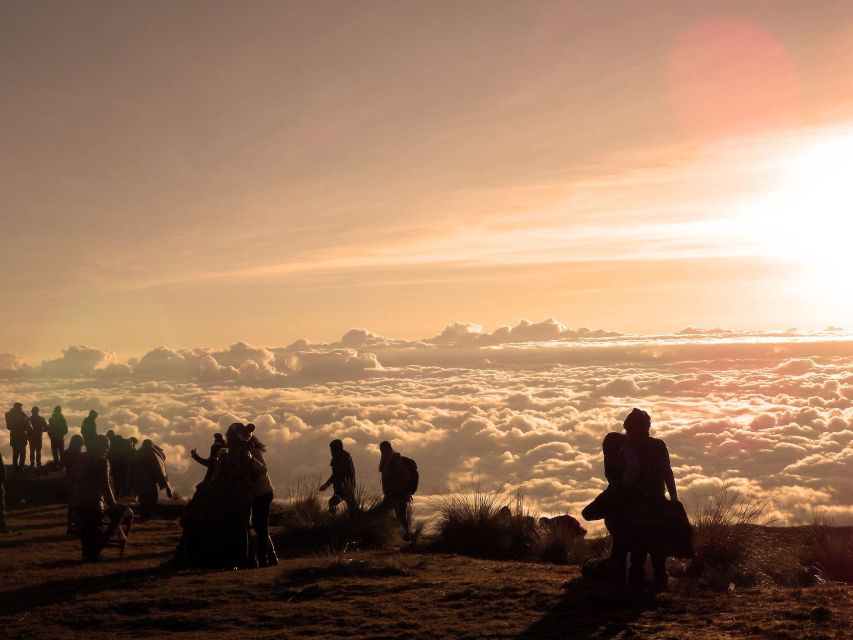 From Cusco: Ecological Adventure 5 Days - Experience Highlights in Manu Reserve