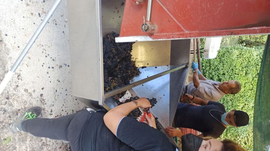 From Florence: Val D'orcia Region Private Wine Tasting Tour - Tour Inclusions