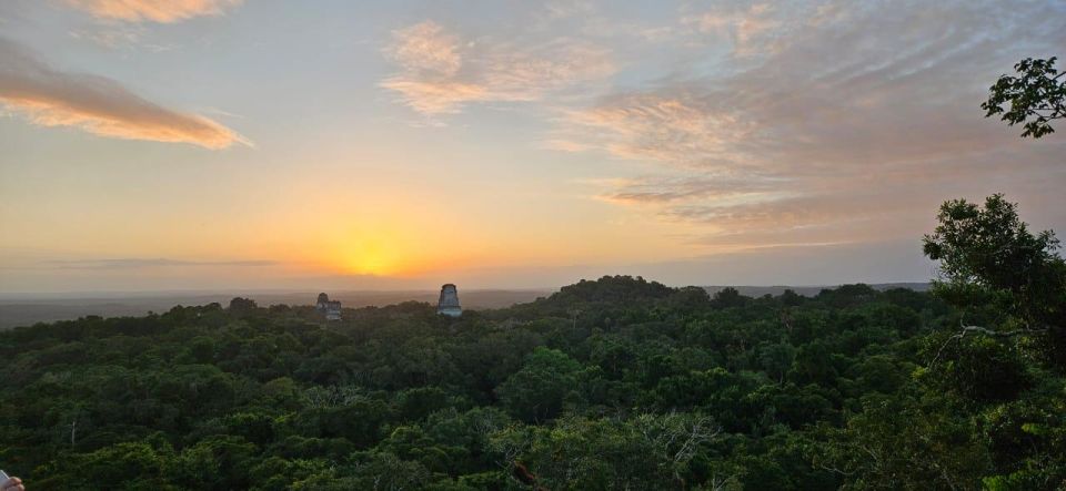 From Flores Guided Tour to Tikal With Transportation Lunch - Pricing Information