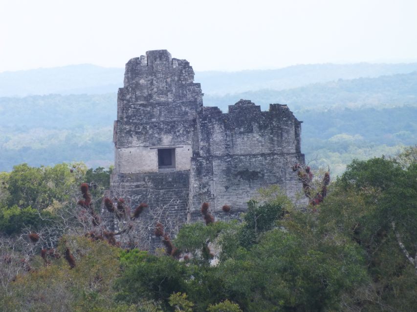 From Flores: Tikal Ruins Guided Day Trip - Activity Highlights