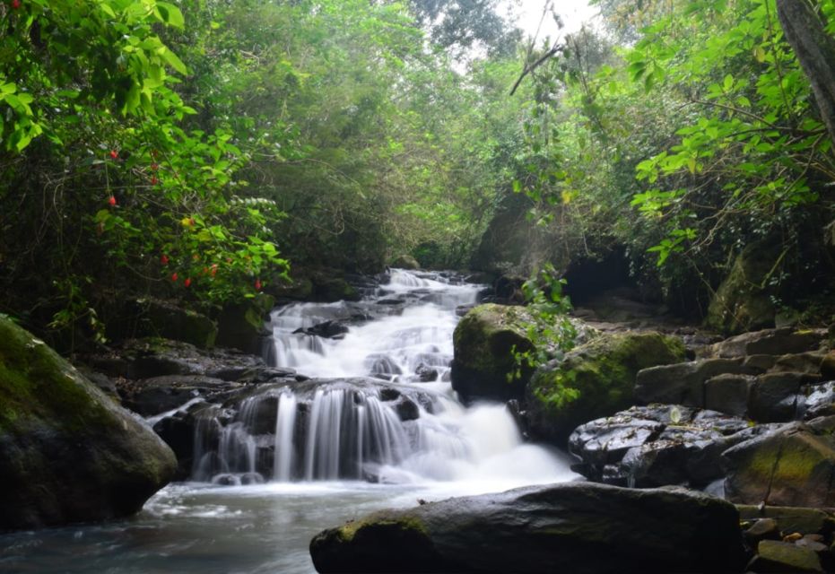 From Foz Do Iguaçu: Secret Falls Adventure - Good To Know