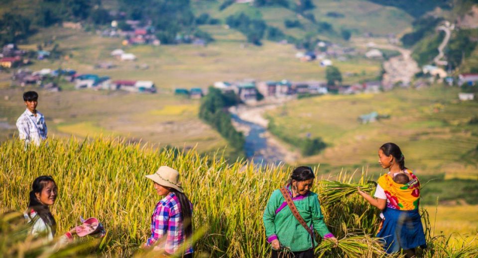 From Hanoi: 2D1N Sapa Homestay Trek With Overnight Bus - Good To Know