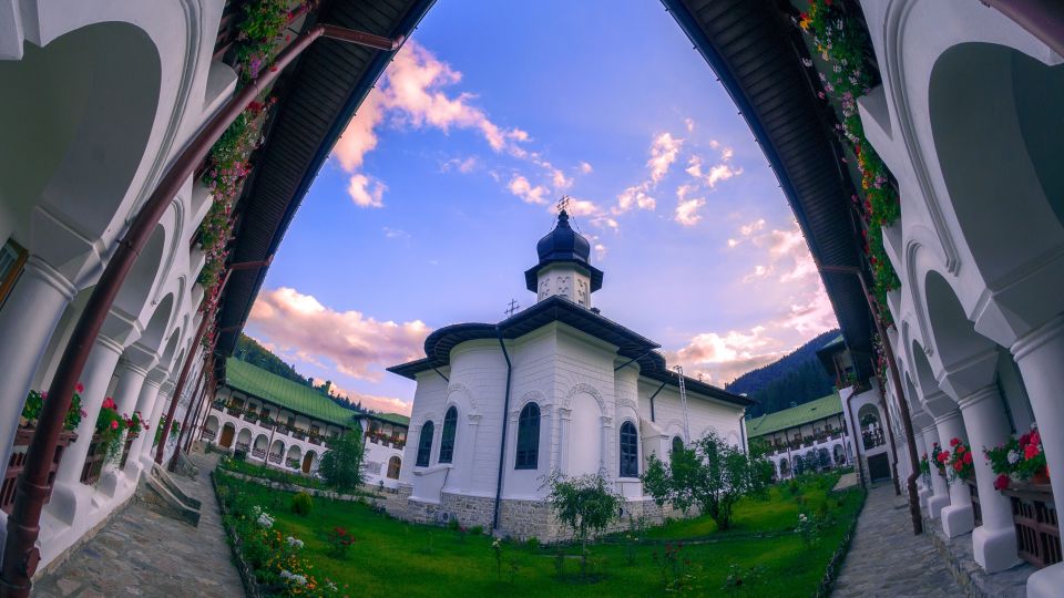 From Iasi: Rural Experience Fortress & Bison Reservation - Experience Highlights