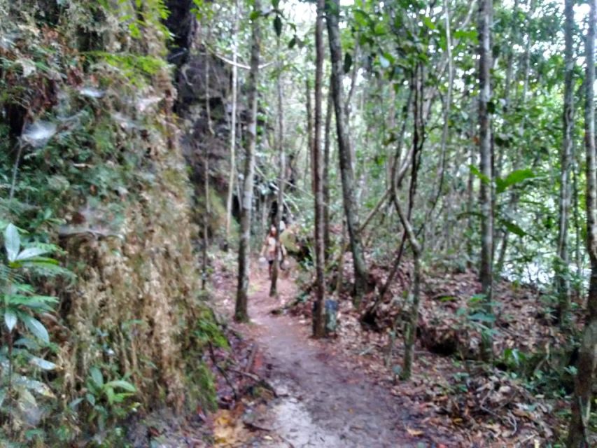 From Manaus: 2-Day Amazon Jungle and Ipanema Lake Excursion - Experience Highlights