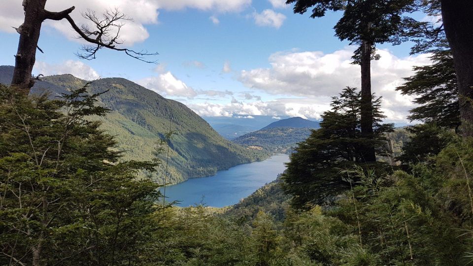 From Pucón: Huerquehue National Park Hiking Tour - Itinerary