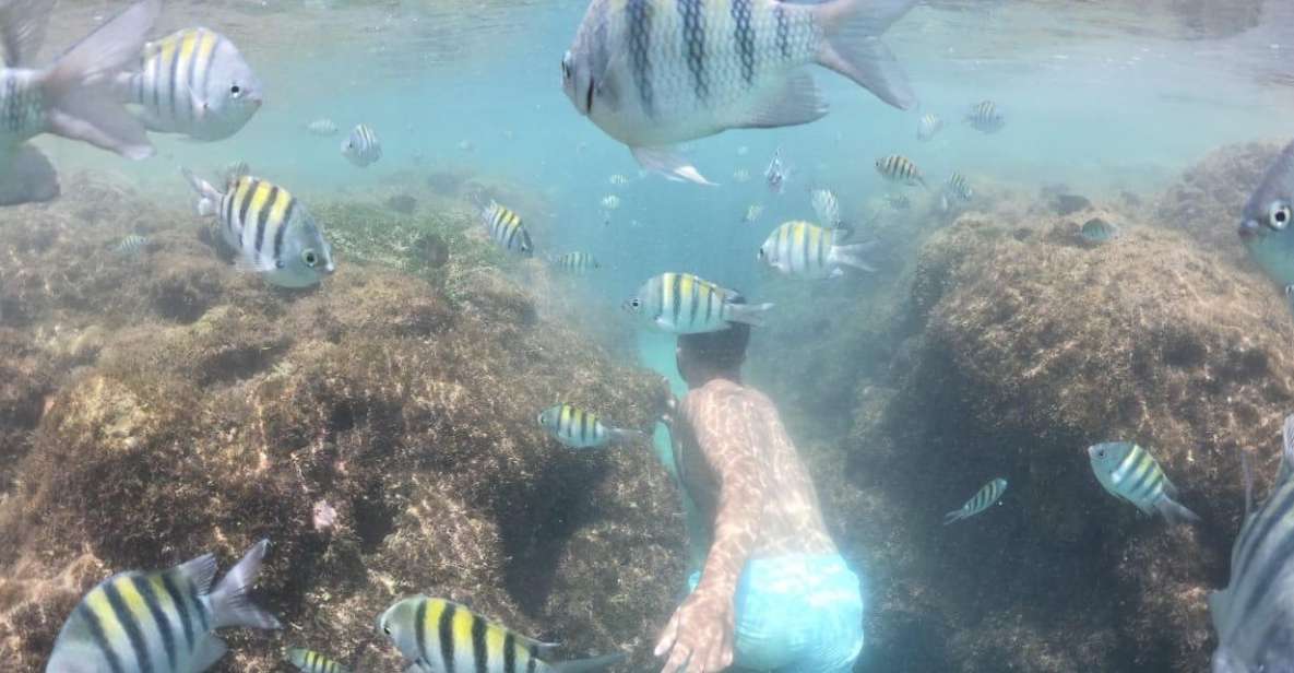 From Recife: Beach Day in Porto De Galinhas With Jangada Included - Experience Highlights