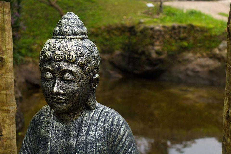 From Rio: Vale Do Amor Sanctuary and Waterfall Tour - Experience Highlights