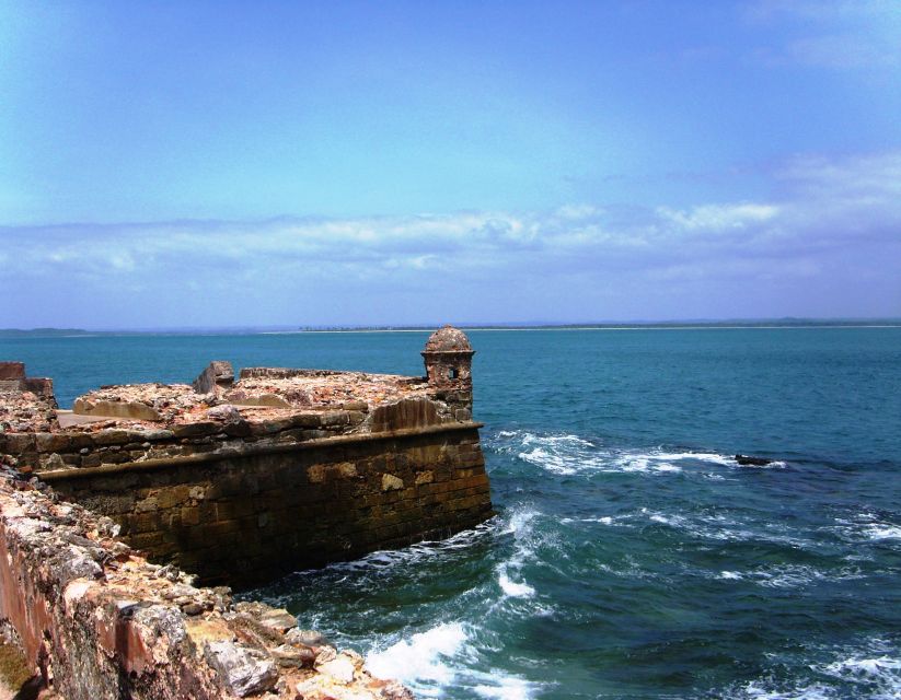 From Salvador: Morro De São Paulo Paradise Island Daytrip - Good To Know