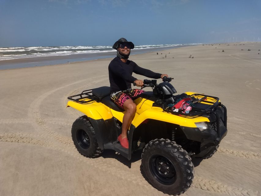 From Salvador: Praia Do Forte & Guarajuba Beach Daytrip - Tour Details
