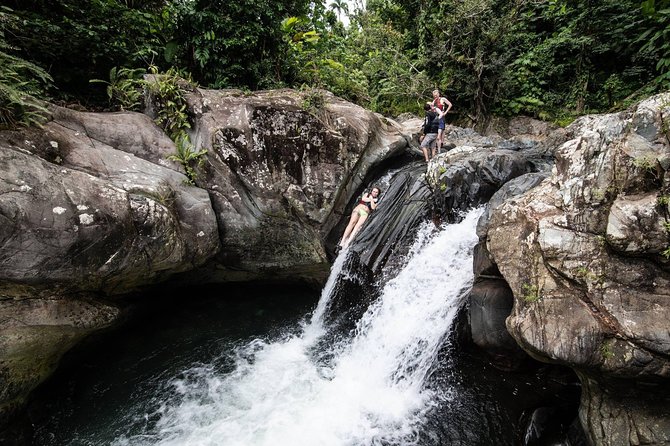From San Juan: El Yunque Rainforest Hiking Adventure - The Sum Up