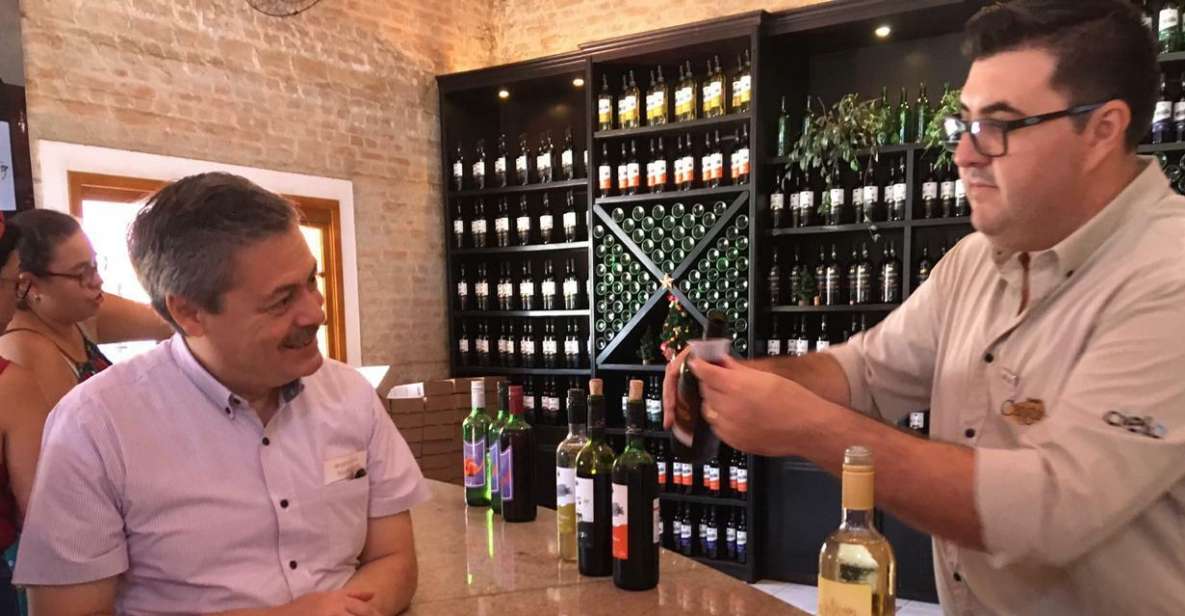 From São Paulo: São Roque Wineries Route and Shopping Tour - Tour Inclusions