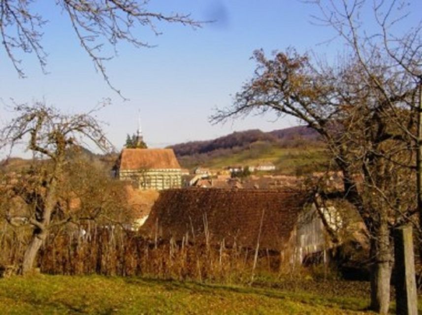 From Sighisoara: Half-Day Tour to Malancrav & Biertan - Good To Know
