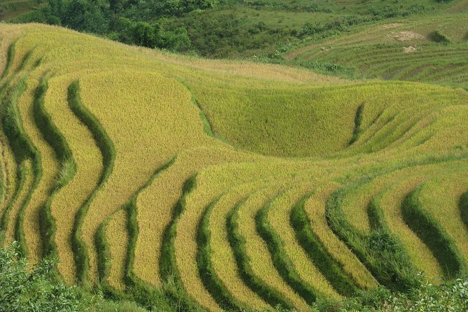 Full Day - Biking Tour in Sapa - The Sum Up