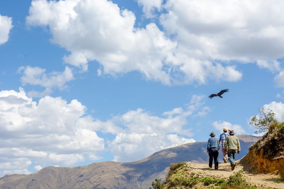 Full-Day Condor Viewpoint & Inca Sites Tour - Tour Overview