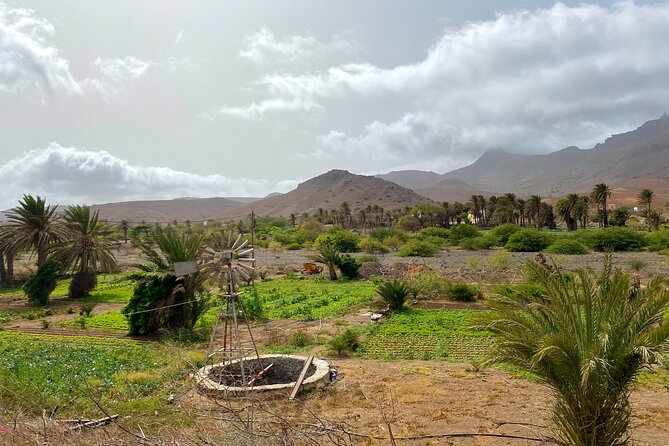Full Day Island Tour Sao Vicente - The Sum Up