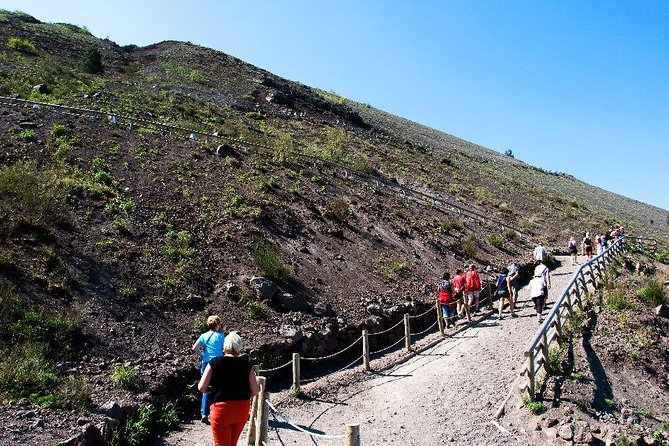 Herculaneum & Vesuvius Shore Excursion - Pricing and Availability Information
