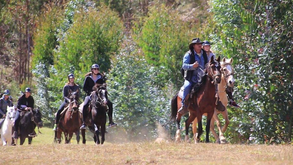 Horseback Ride to the Temple of the Moon and Chacan Mountain - Activity Details