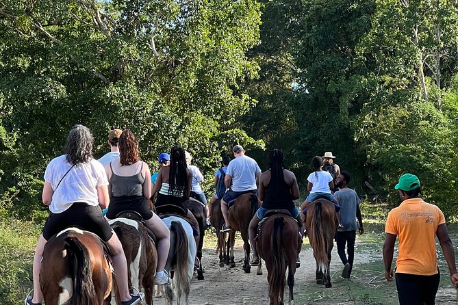 Horseback “Special”- Negril'S Beach Ride N' Swim With Free Photos/Videos - Communication and Hospitality