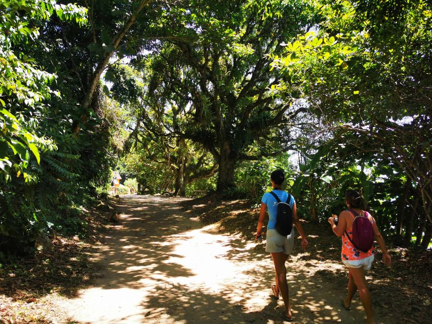 Ilha Grande: Private Historic Walking Tour With Natural Pool - Experience Highlights