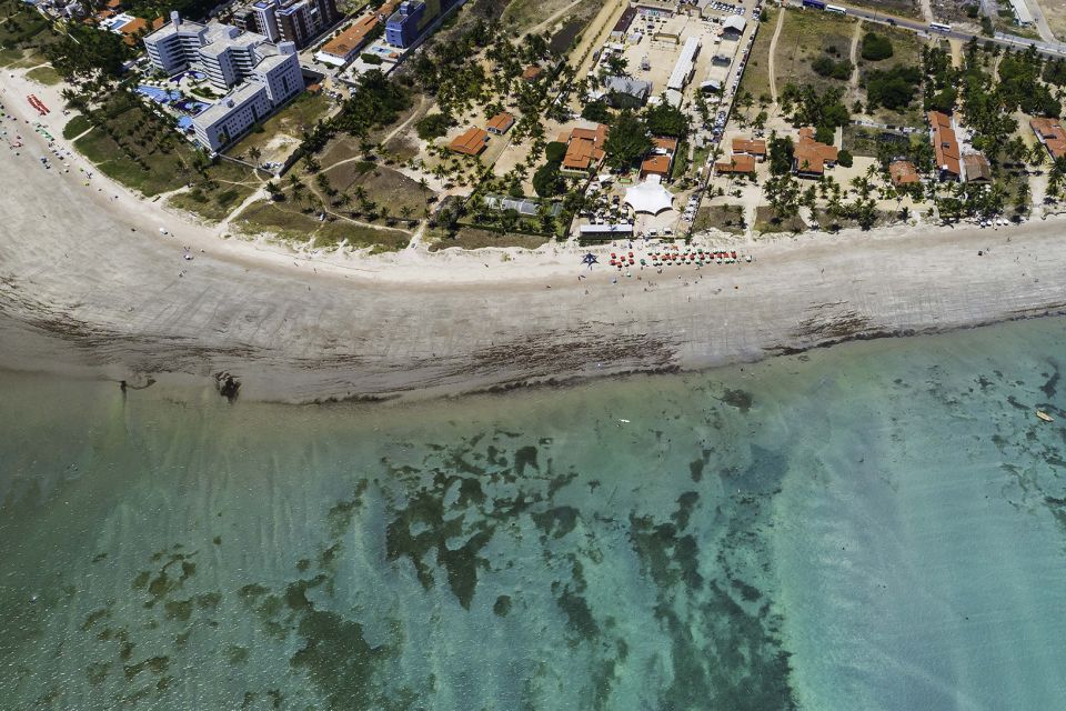 Joao Pessoa Northern Coast Beaches Day Tour - Experience Highlights and Activities