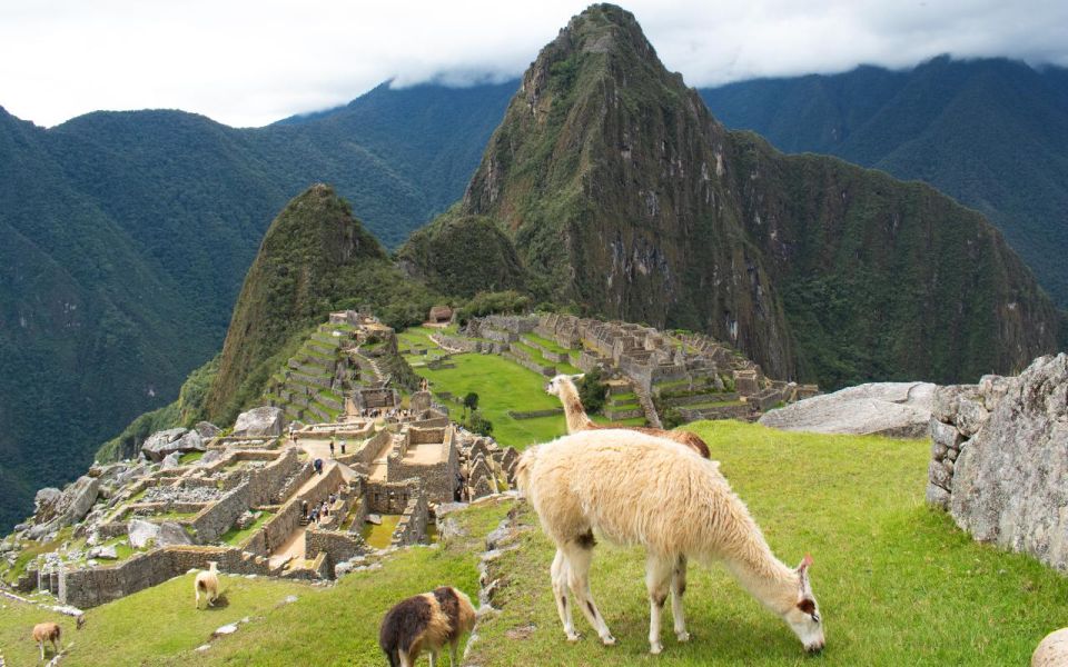 Machupicchu Tour by Tourist Train in 2 Days - Group Size and Pickup Services