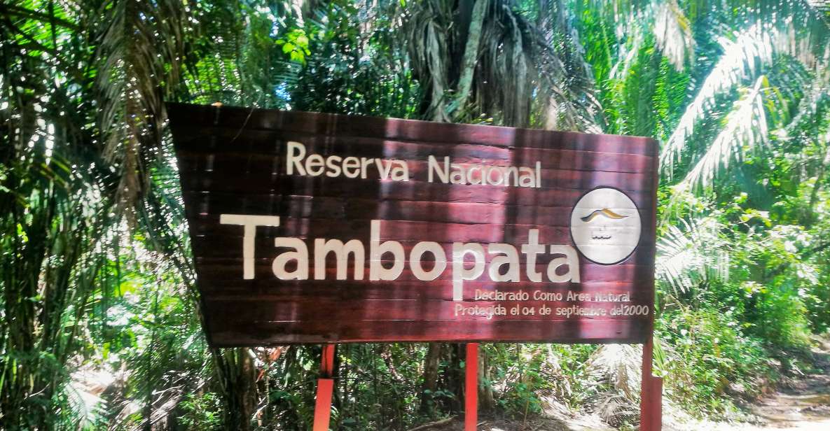 Madre De Dios: Lake Saldoval Visit to the Macaws - Nocturnal Fauna Observation at Night