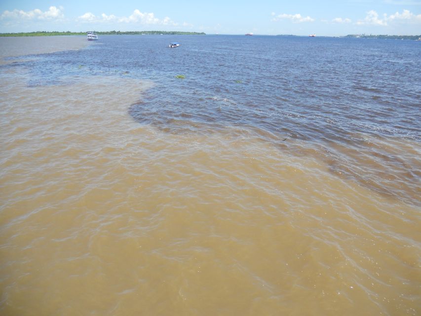 Manaus: Multi-Day Amazon Trip at Tapiri Floating Lodge - Customer Reviews