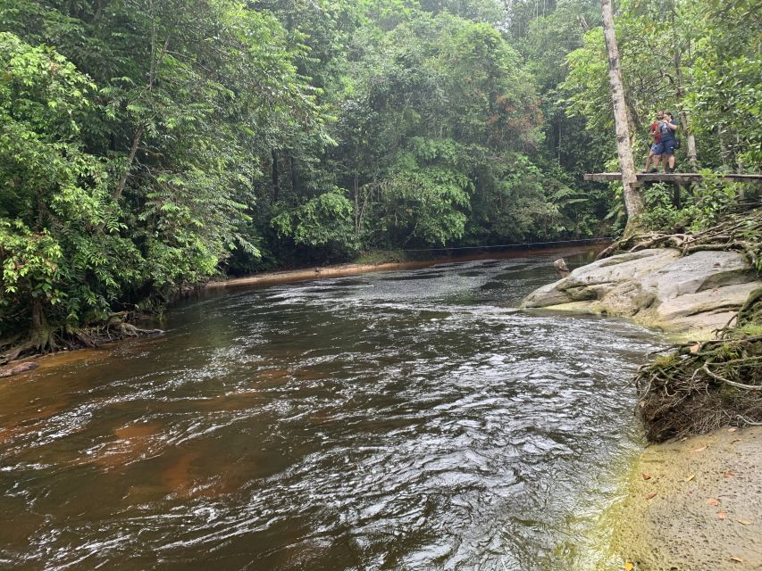 Manaus: Presidente Figueiredo Caves and Waterfalls Tour - Experience Highlights