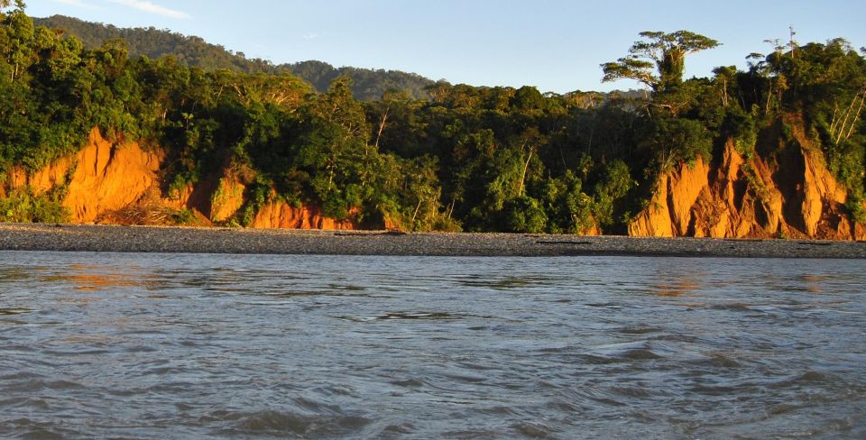 Manu Jungle Tour 3 Days - Experience and Itinerary Details