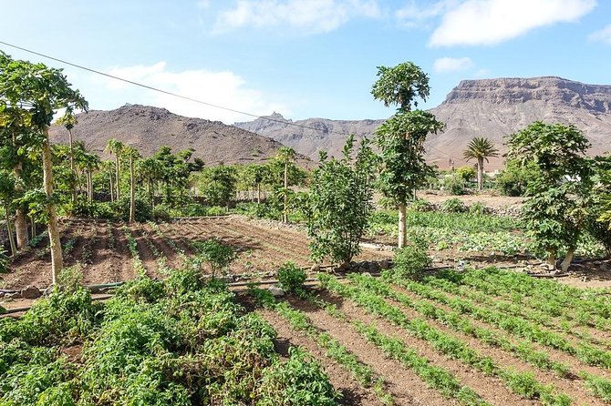 Mindelo, Cape Verde Full Day Tour  - Sao Vicente - Tour Overview and Itinerary