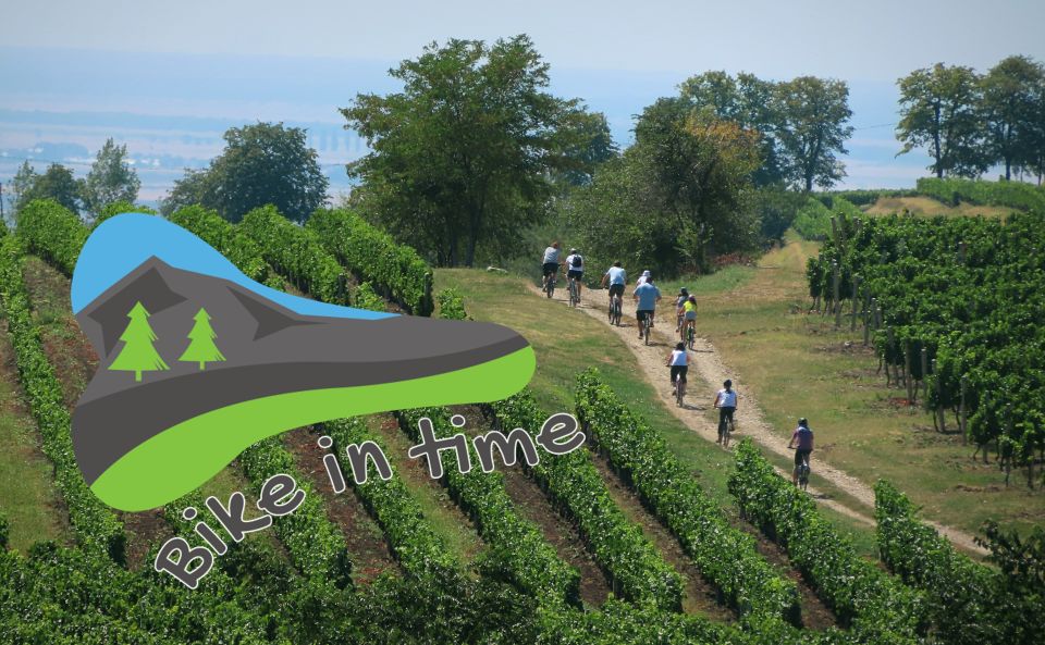 One Day Wine Route by Bike - Tour Experience