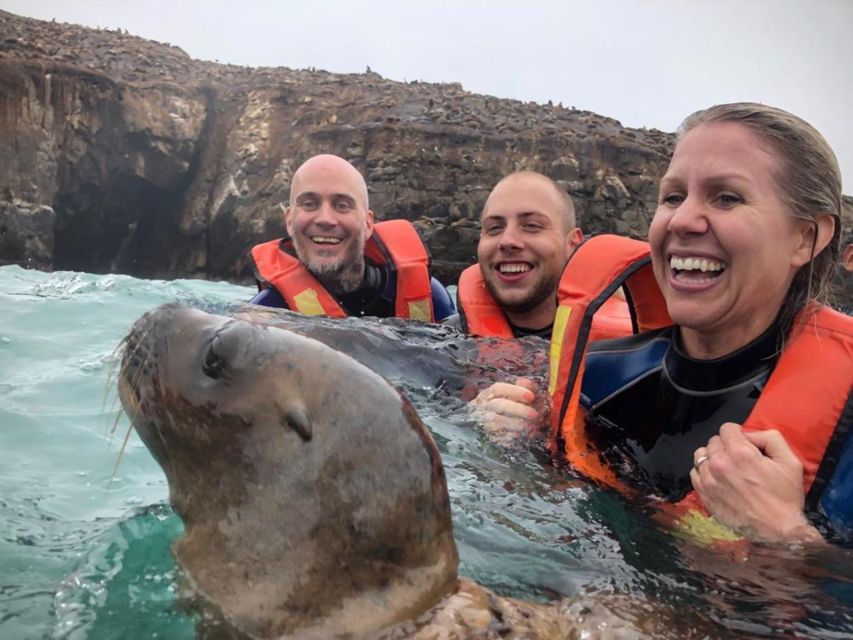 Palomino Islands Speedboat Excursion & Swim With Sea Lions - Experience Highlights