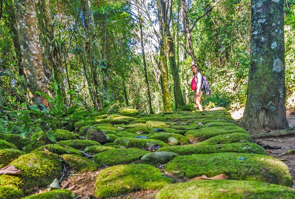 Paraty: Gold Trail Rainforest Hiking Tour - Tour Details