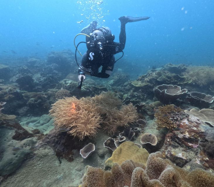 Phu Quoc: Tour Scuba Diving - Dive Deep - Explore Deeper - Good To Know