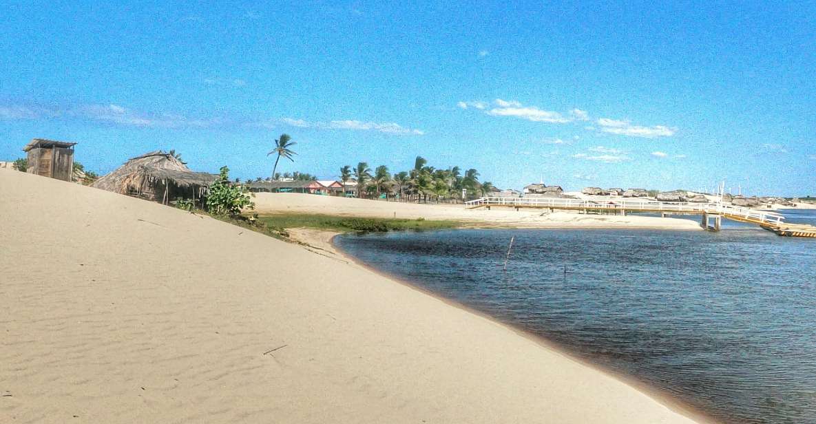Preguicas River Speedboat Tour - Experience Inclusions