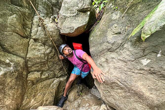 (Private) El Yunque Tour - Transportation Included / 7am-12pm or 12pm-5pm - Traveler Reviews and Overall Rating