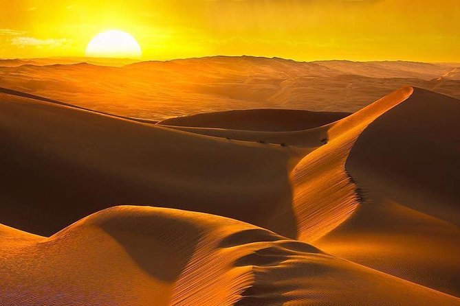 Private Liwa Full Day Desert Safari Tour With Lunch From Abu Dhabi - Traveler Reviews
