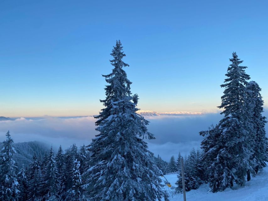 Private Ski Lessons on Poiana Brasov - Booking Process and Policies