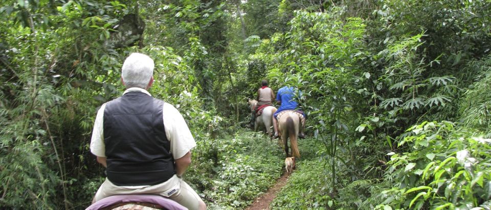 Puerto Iguazu: Jungle Horseback Ride With Guaraní Community - Activity Details