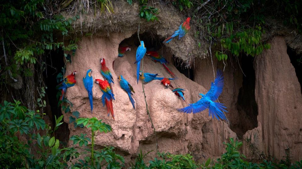 Puerto Maldonado: Nature & Adventure at Tambopata 2D/1N - Itinerary Details